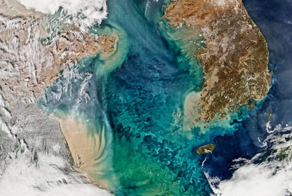 Remote sensing of ocean color in the Yellow Sea. Original from NASA. Digitally enhanced by rawpixel.